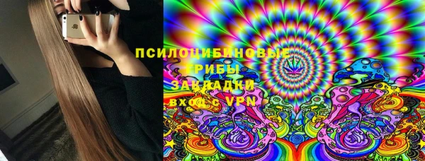 mdma Богородицк